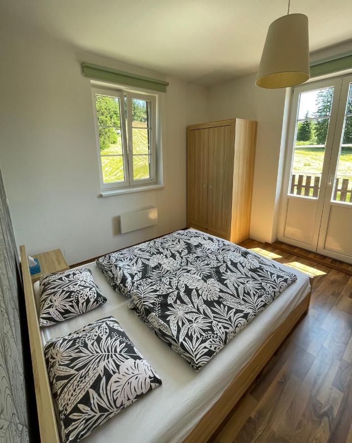 Apartman v Beskydech Staré Hamry Exteriör bild