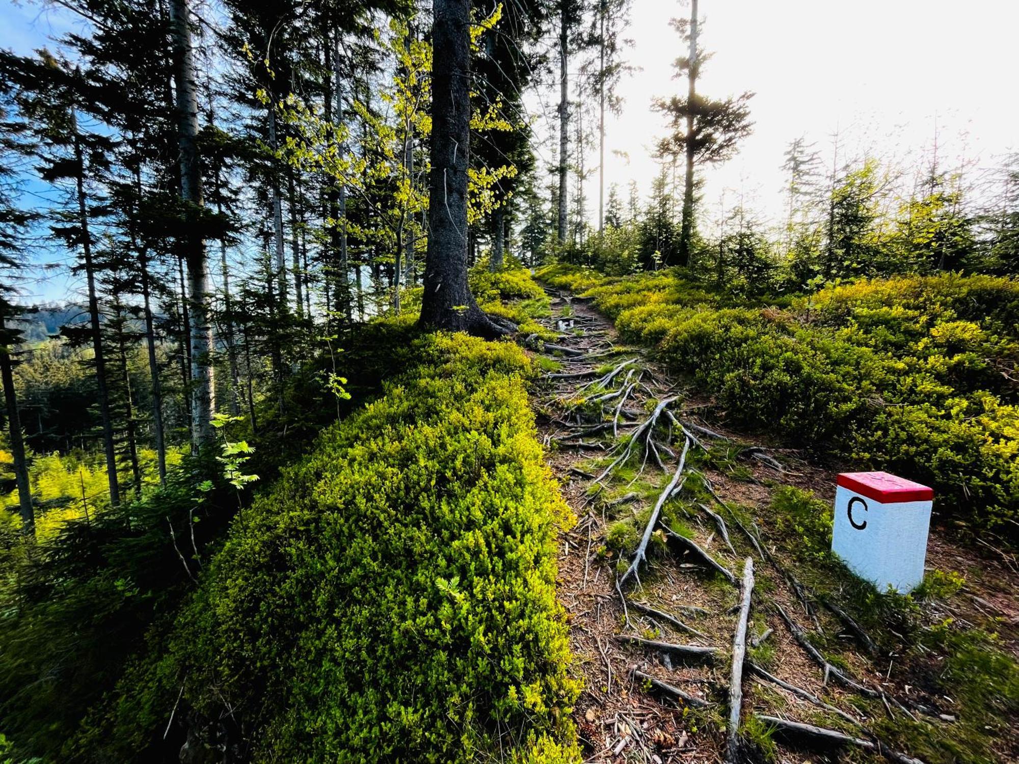Apartman v Beskydech Staré Hamry Exteriör bild