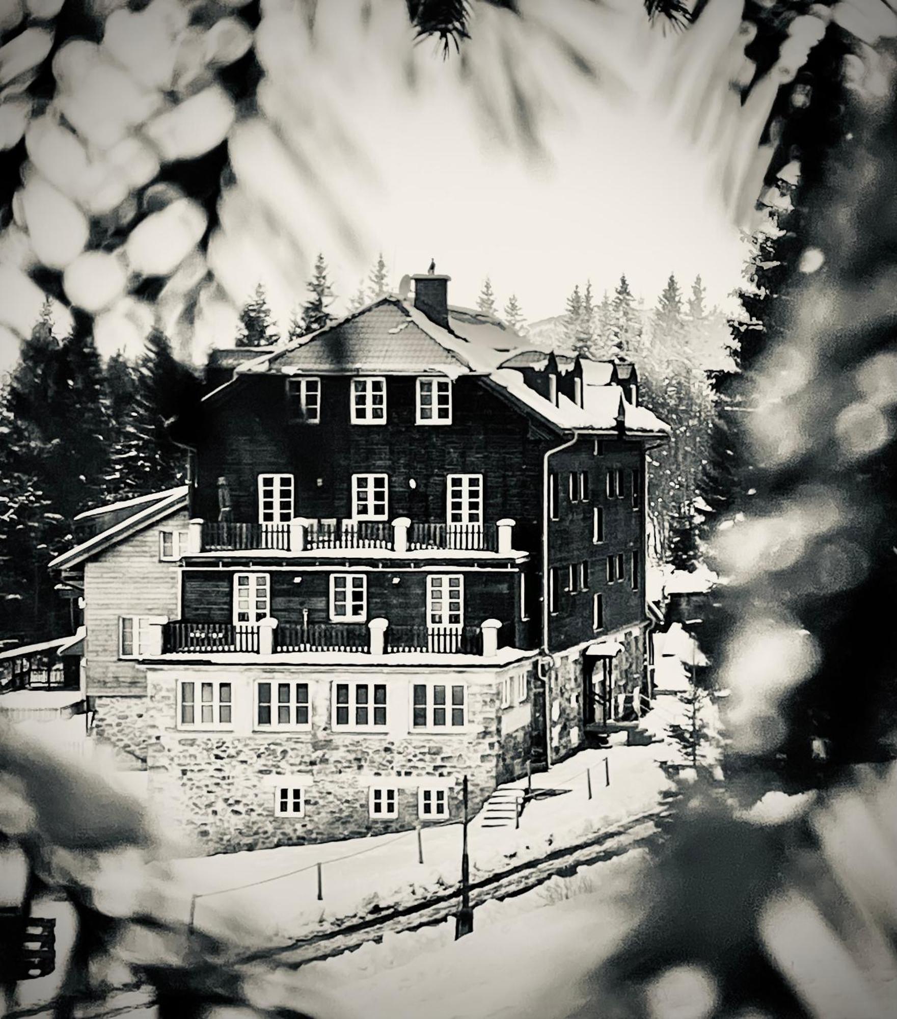 Apartman v Beskydech Staré Hamry Exteriör bild