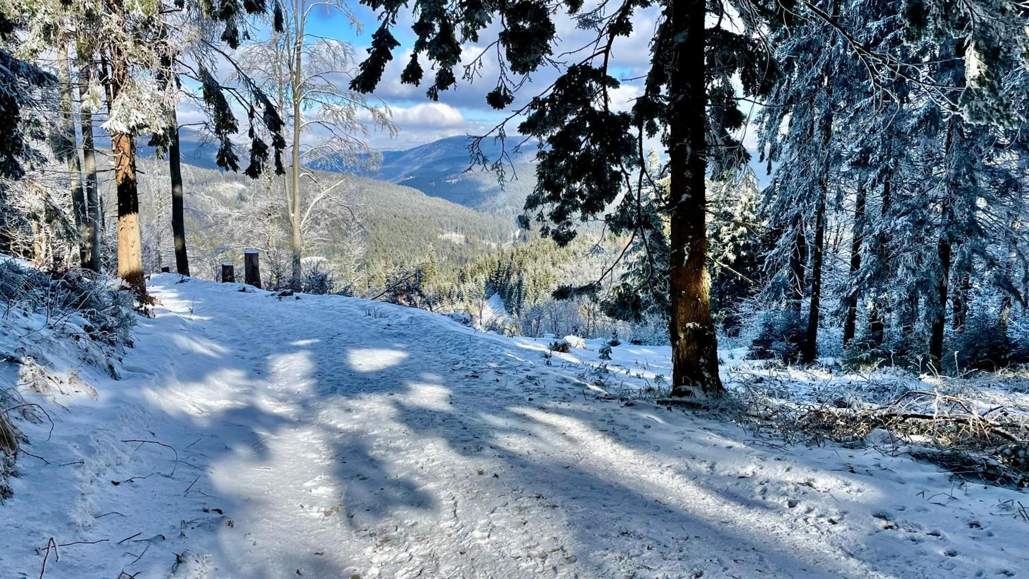 Apartman v Beskydech Staré Hamry Exteriör bild